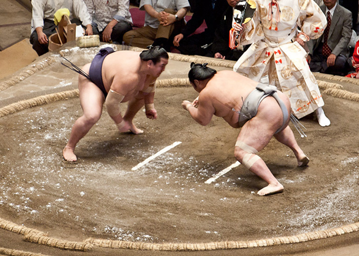 去東京看相撲比賽吧！