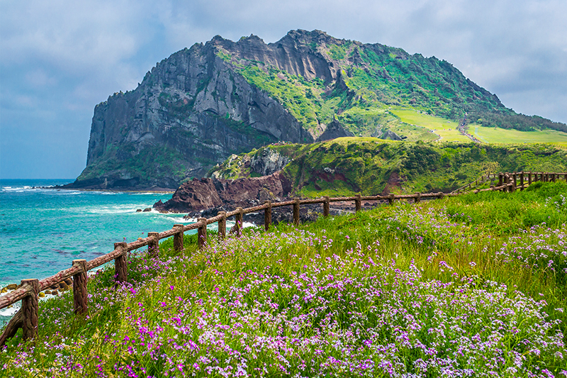 生肖屬蛇旅遊之選