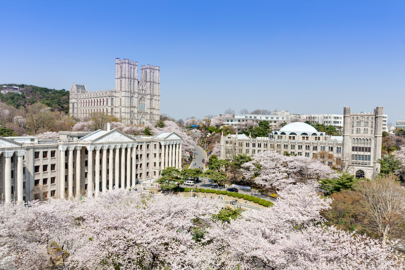 盤點韓國最美賞櫻花地點：首爾