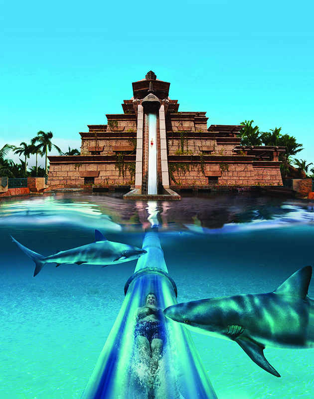杜拜棕櫚島亞特蘭蒂斯度假酒店 （Atlantis The Palm）