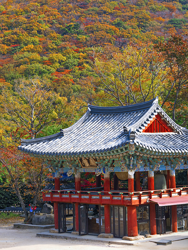 釜山梵魚寺