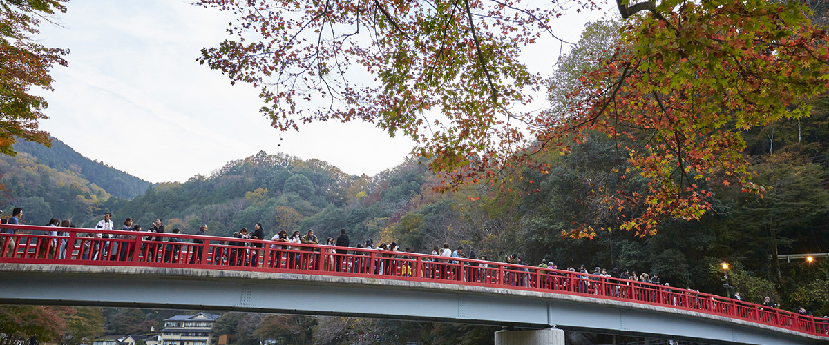 日本紅葉