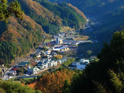 豐田