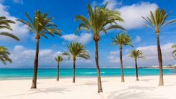 搜索飛往西班牙的便宜機票