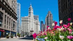 芝加哥飯店 － 鄰近橋塔與芝加哥河博物館