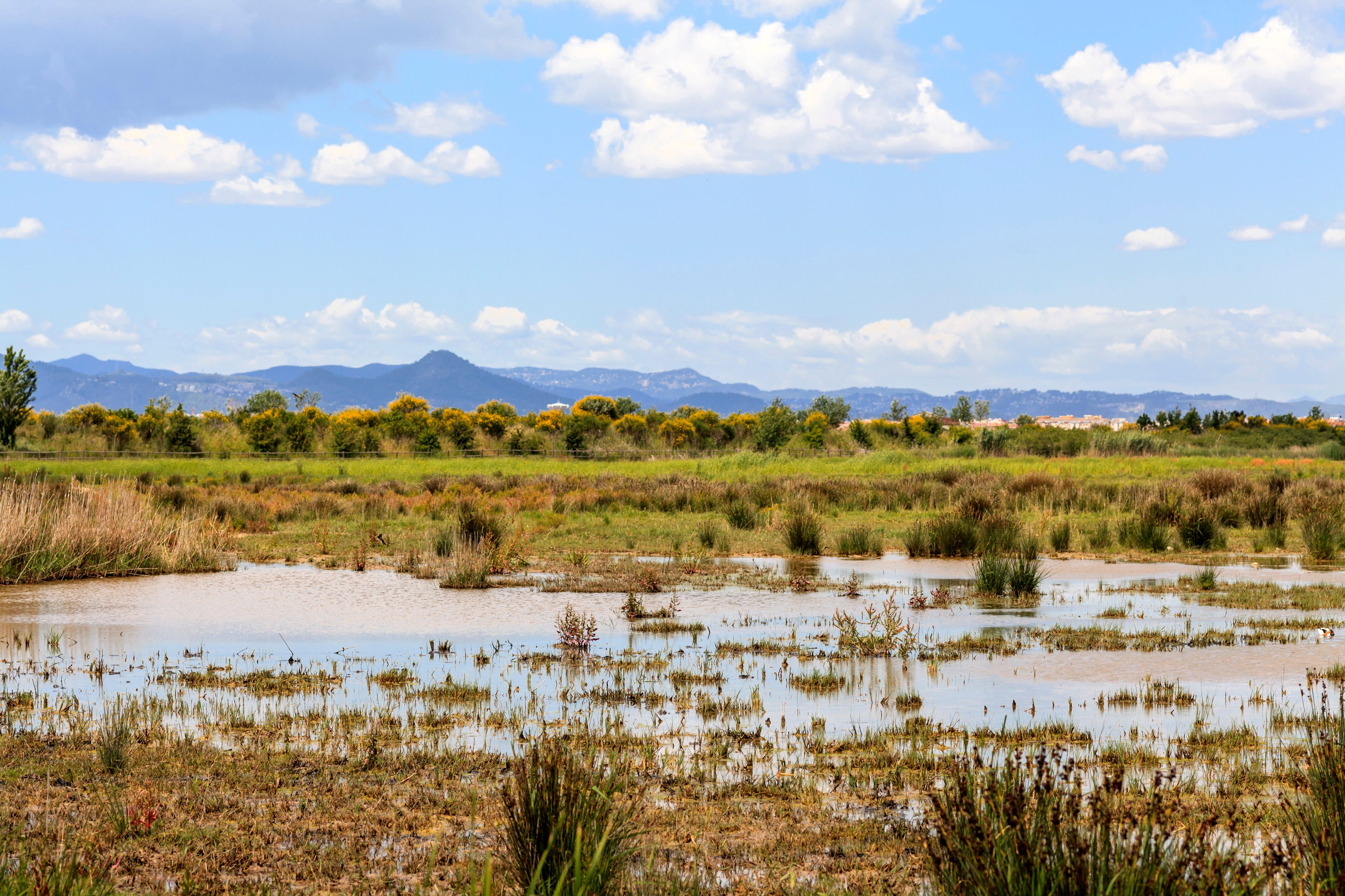 埃普拉特約布里加租車