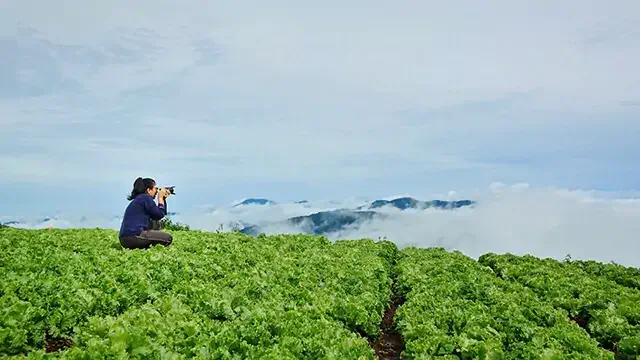 純素旅遊