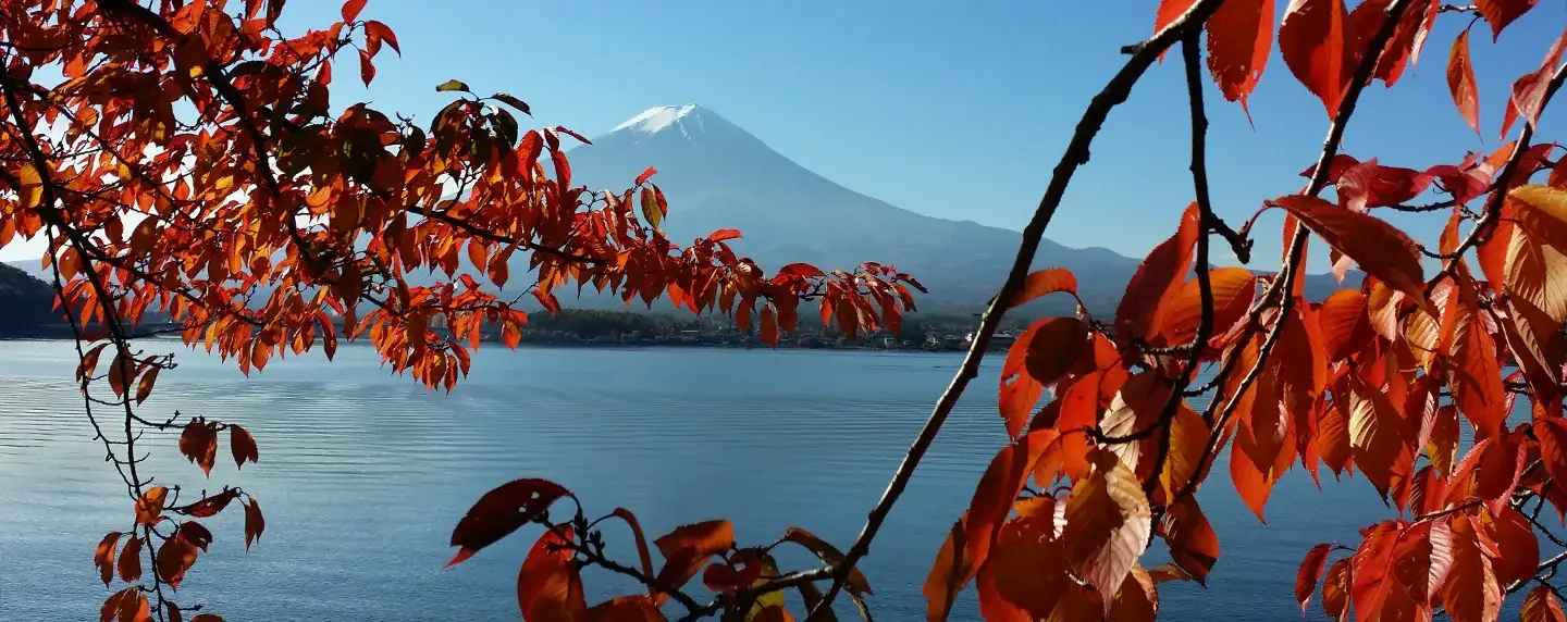 日本秋季旅行