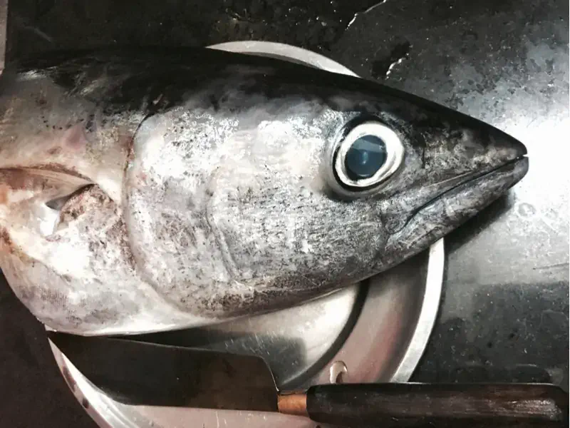 亞洲8大怪奇美食