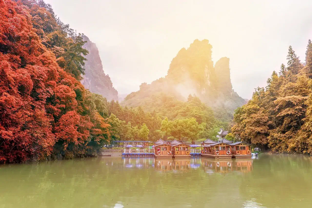 秋高氣爽出遊去!快看不可錯過的金黃秋景