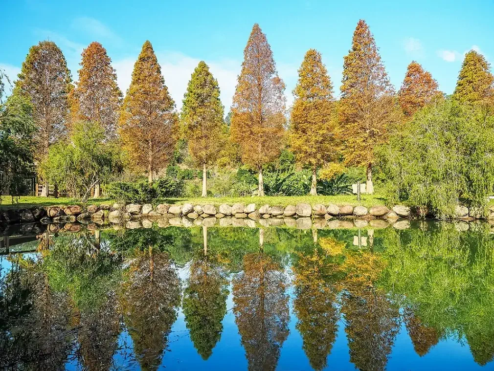 秋高氣爽出遊去!快看不可錯過的金黃秋景