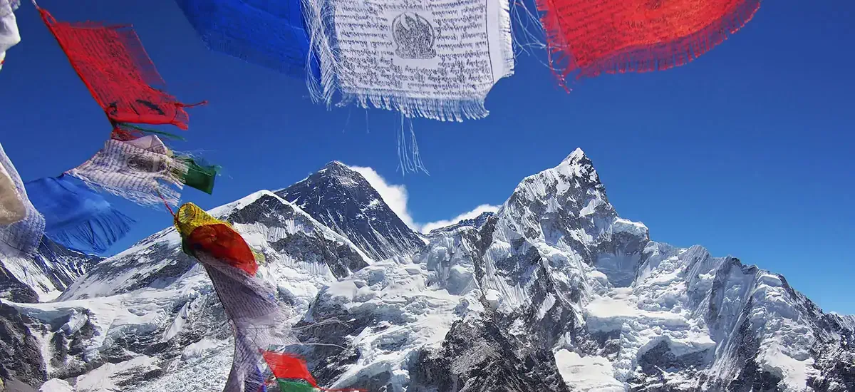 送雞迎狗！農曆新年出遊好推薦