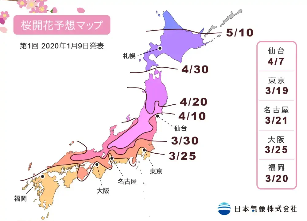 日本-櫻花-開花日期