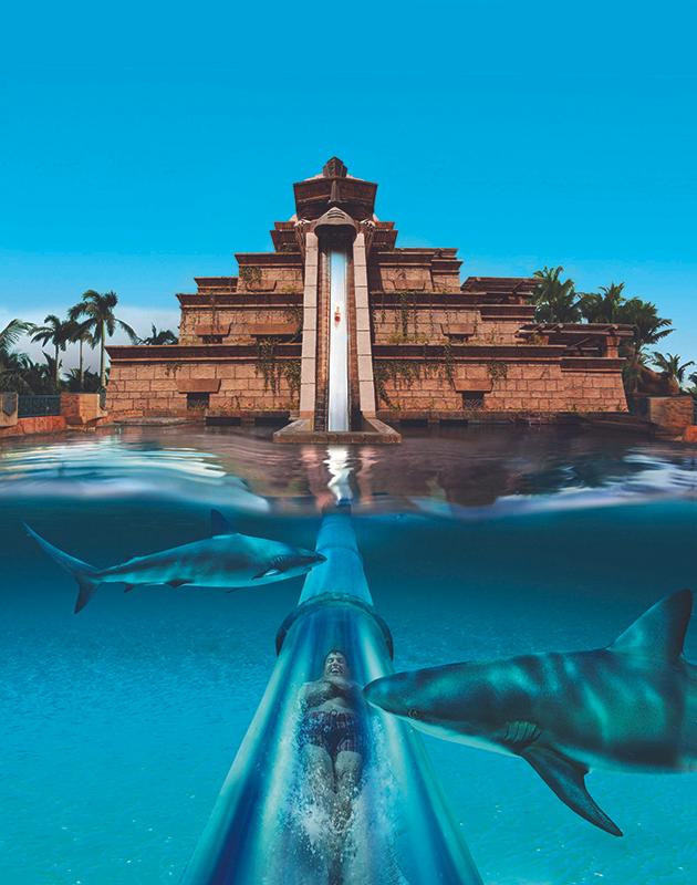 杜拜棕櫚島亞特蘭蒂斯度假酒店 (Atlantis The Palm)