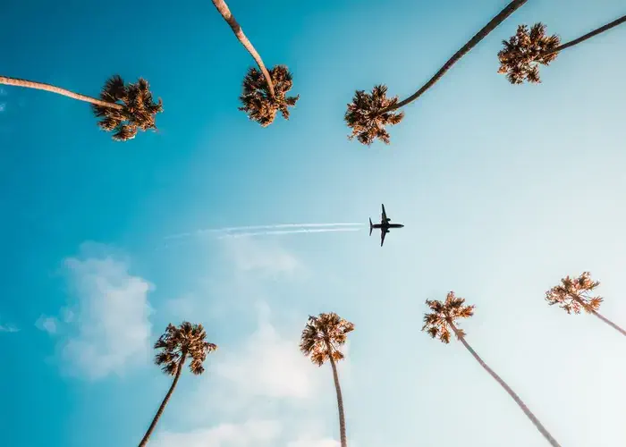 Los angeles flight