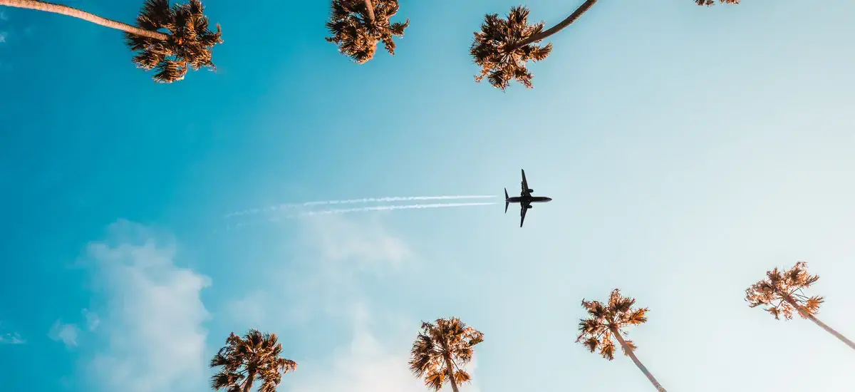 Los angeles flight