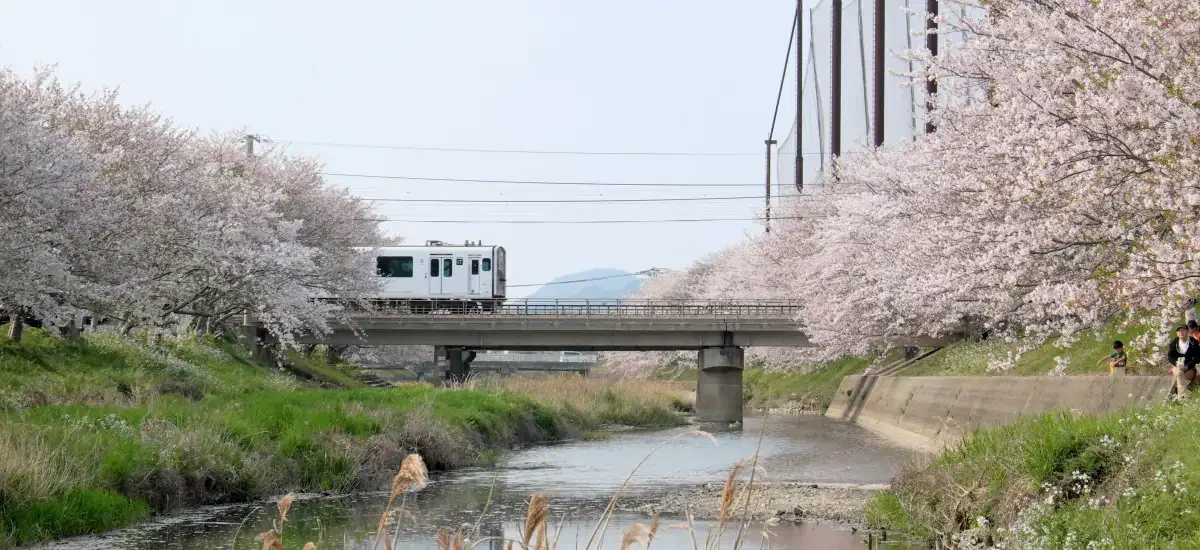 福岡-機票