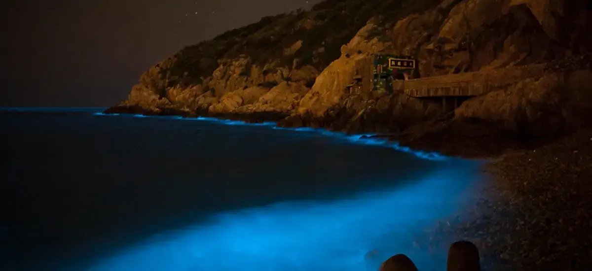 馬祖-藍眼淚-機票