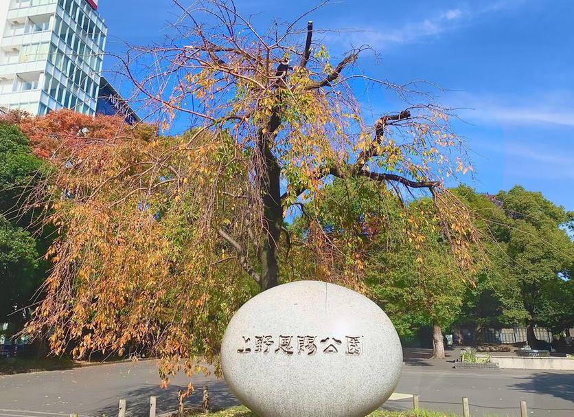 室外景 相片