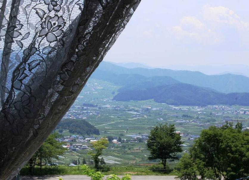室外景 相片