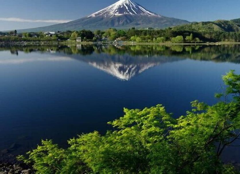 室外景 相片