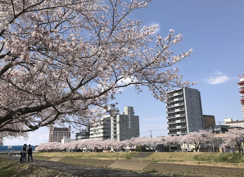 室外景 相片
