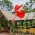 室外景