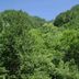 室外景