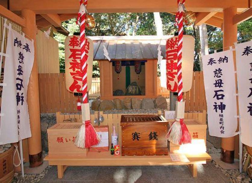 其他 相片
