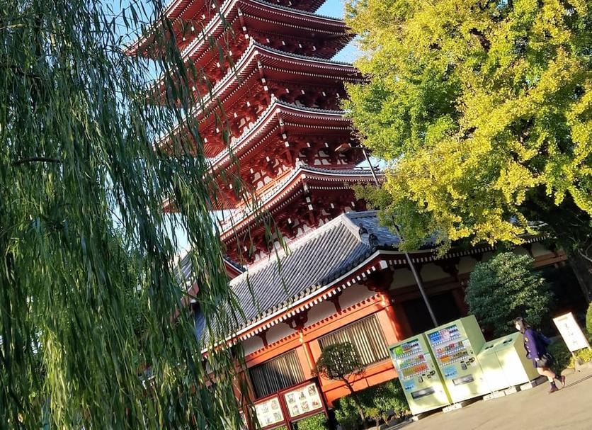 建築 相片