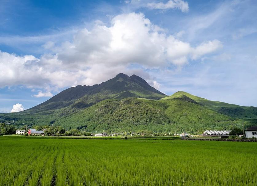 室外景 相片