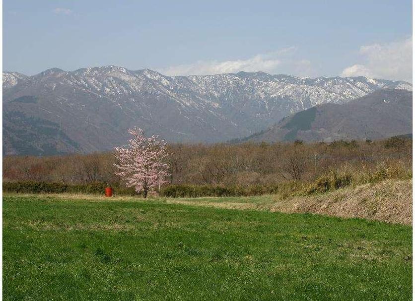 室外景 相片