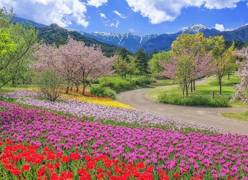 室外景 相片