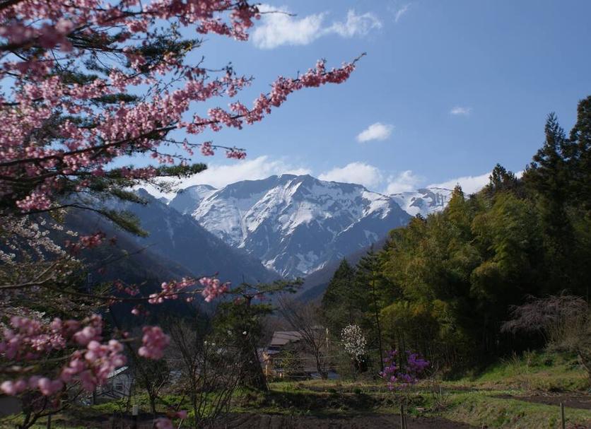 室外景 相片