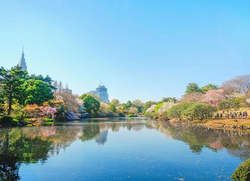 室外景 相片