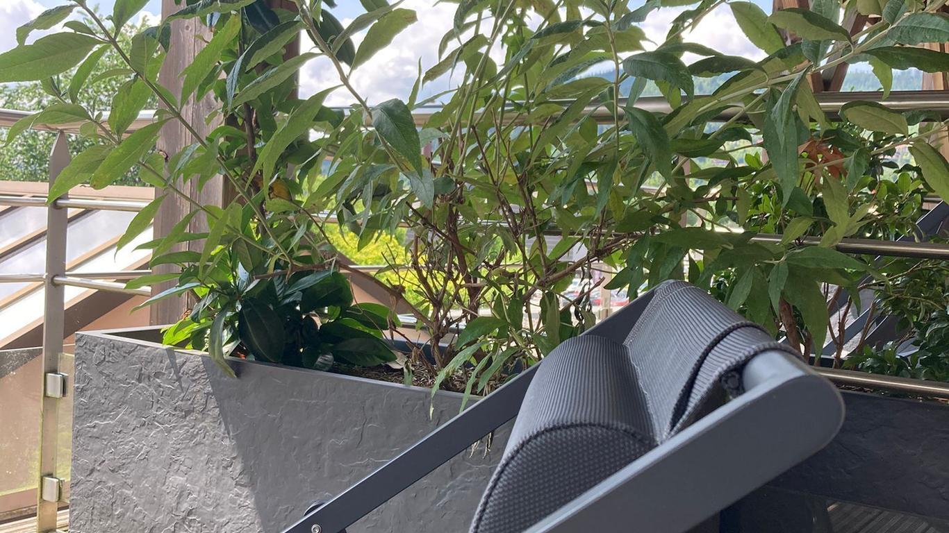 公園小屋酒店 - 熱拉梅