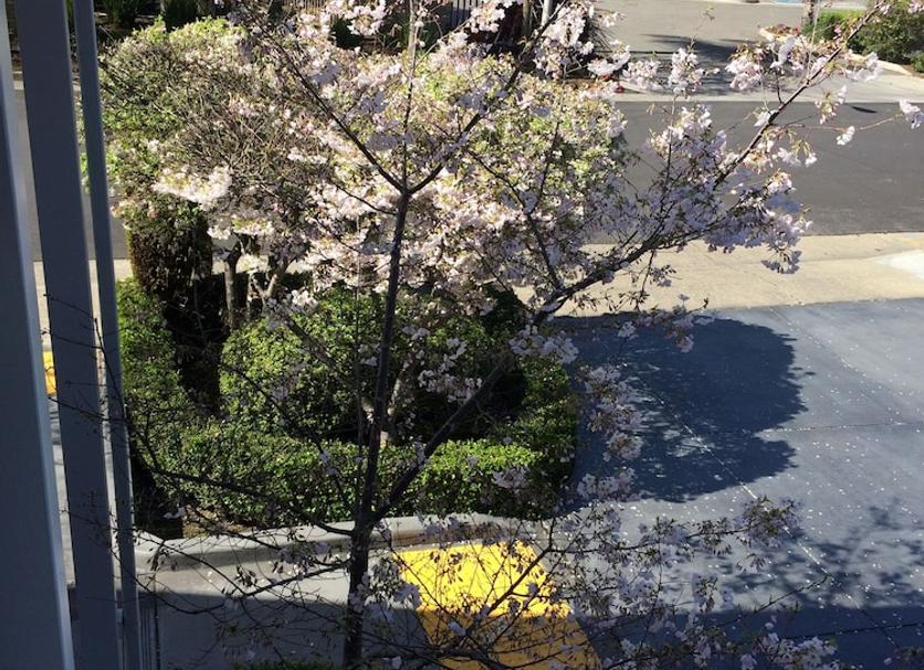 室外景 相片