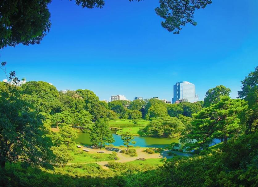 室外景 相片
