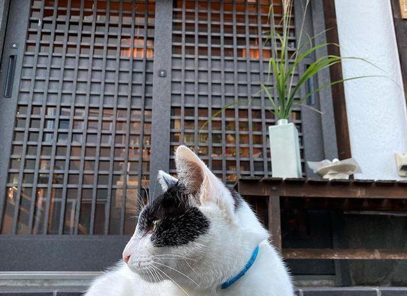 其他 相片