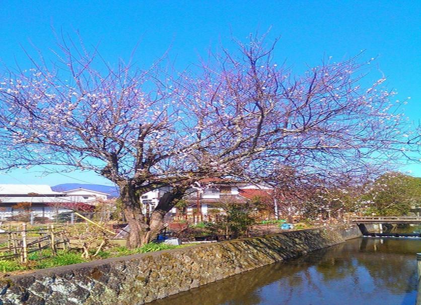 室外景 相片