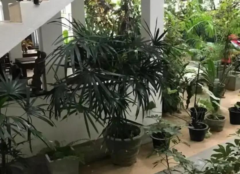 其他 相片