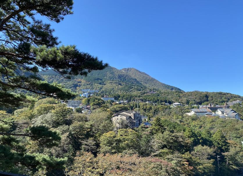 室外景 相片