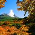 室外景