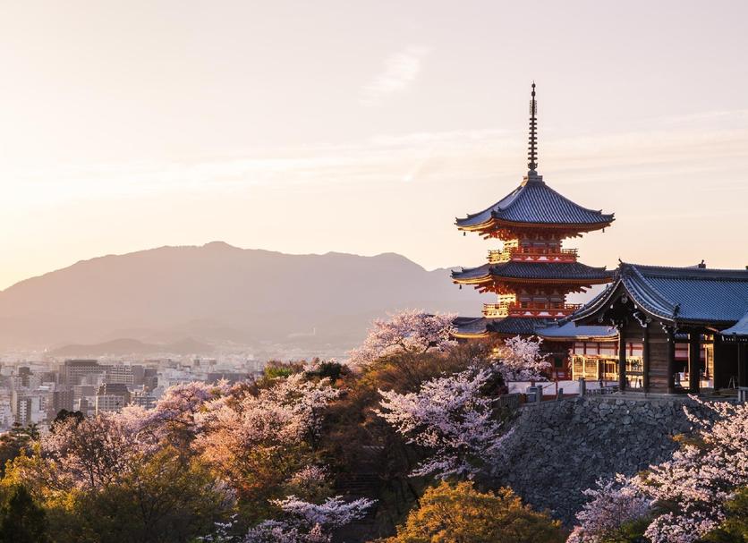室外景 相片