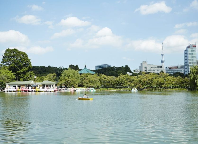 室外景 相片