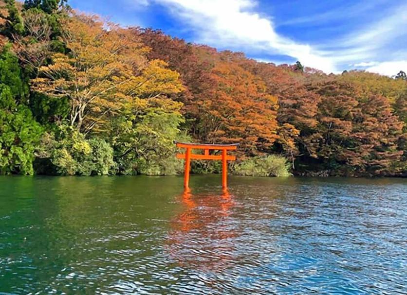室外景 相片
