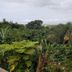 室外景