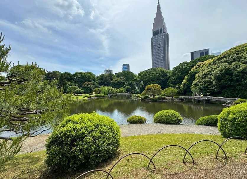 室外景 相片