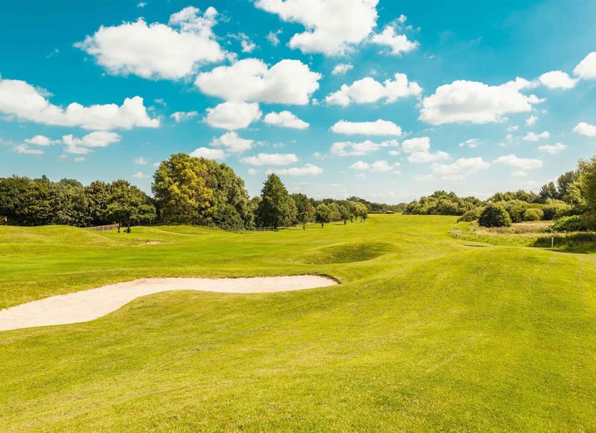 高爾夫球場 相片