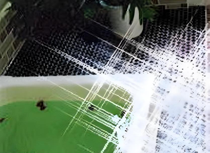其他 相片